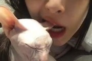 娱乐吃瓜酱虐猫,真相与反思