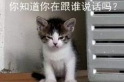 吃瓜娱乐的喵哥是谁呀,吃瓜娱乐界的神秘喵星人